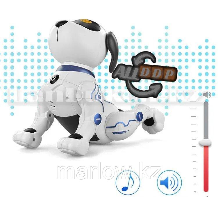 Игрушка Робот собака на батарейках танцующая музыкальная на радиоуправлении K16B - фото 3 - id-p111425232