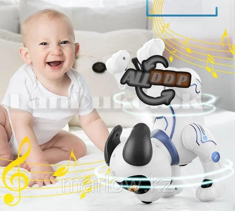 Игрушка Робот собака на батарейках танцующая музыкальная на радиоуправлении K16B - фото 7 - id-p111425232