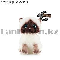 Мягкая игрушка Кошка сиамская с блестящими глазами маленькая 20 см