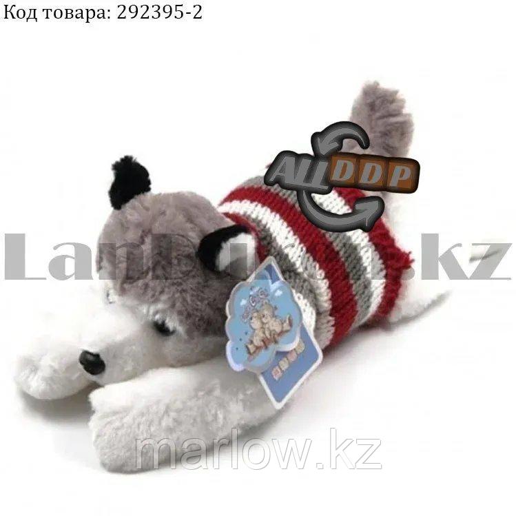 Мягкая игрушка собака Хаски большая в свитере 39.5 см серая - фото 1 - id-p111425270