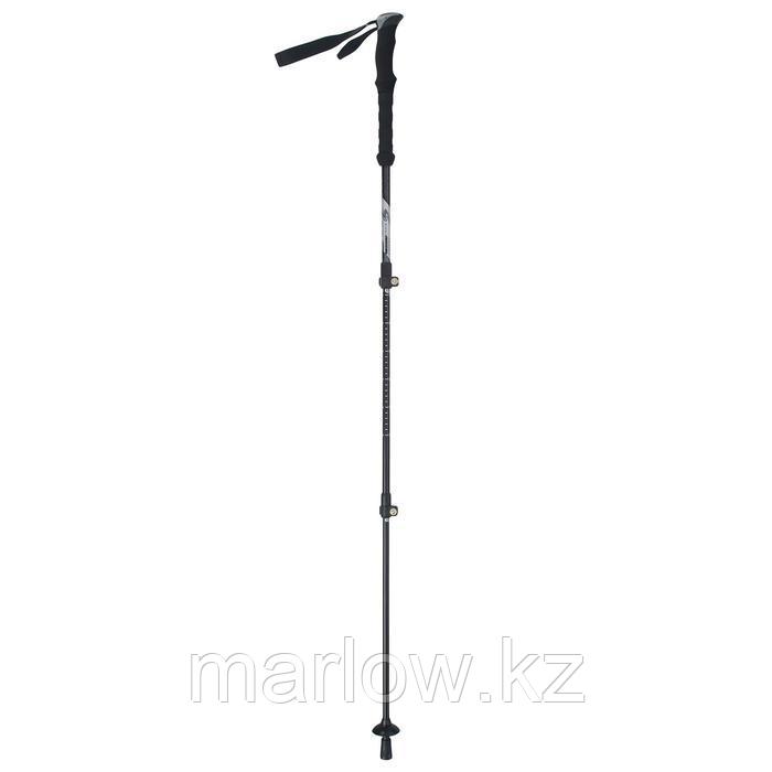 Палка для скандинавской ходьбы, телескопическая, 3 секции, до 135 см, цвет чёрный - фото 2 - id-p111432170