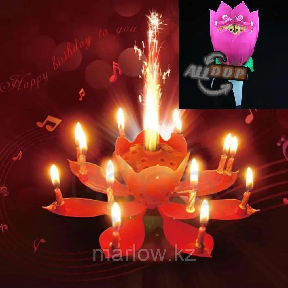 Музыкальная свеча фейверк в виде лотуса для торта большая - фото 1 - id-p111453453