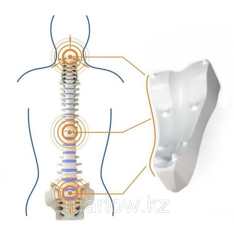 Тренажер для остеопатической коррекции позвоничника Sacrus (Сакрус) - фото 1 - id-p111423336