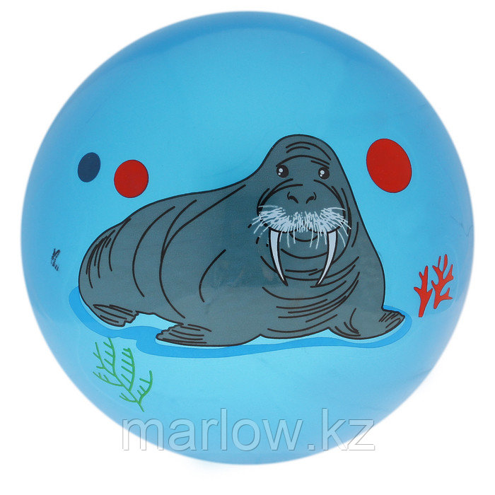 Мяч детский «Дельфинчики», d=25 см, 60 г, цвет синий - фото 5 - id-p111432196