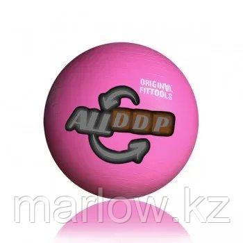 Гимнастический мяч 55 см, с насосом (FT-GBR-55) - фото 1 - id-p111451511