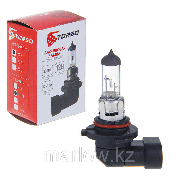 Галогенная лампа TORSO H10, 3300 K, 12 В, 42 Вт - фото 1 - id-p111427316