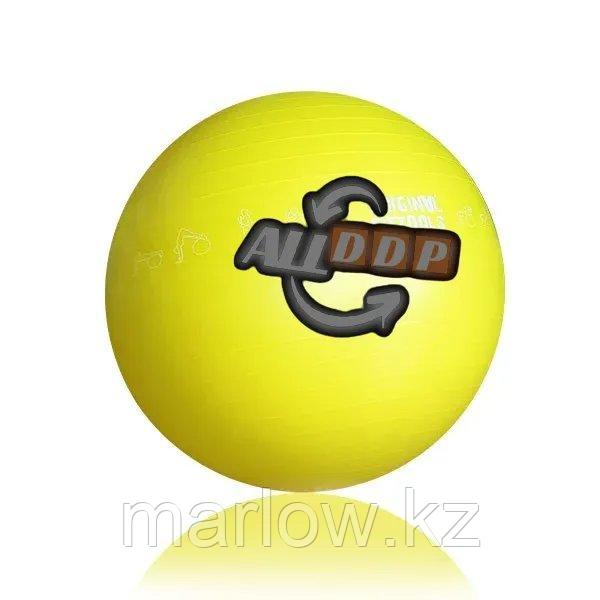 Гимнастический мяч 65 см для коммерческого использования (FT-GBPRO-65) - фото 1 - id-p111451515