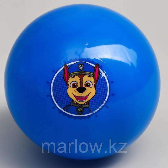 Мяч детский Paw Patrol "Гончик", 16 см, 50 гр, цвета МИКС - фото 1 - id-p111432241