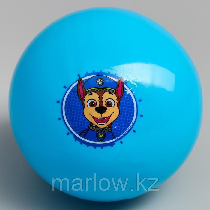 Мяч детский Paw Patrol "Гончик", 16 см, 50 гр, цвета МИКС - фото 2 - id-p111432241