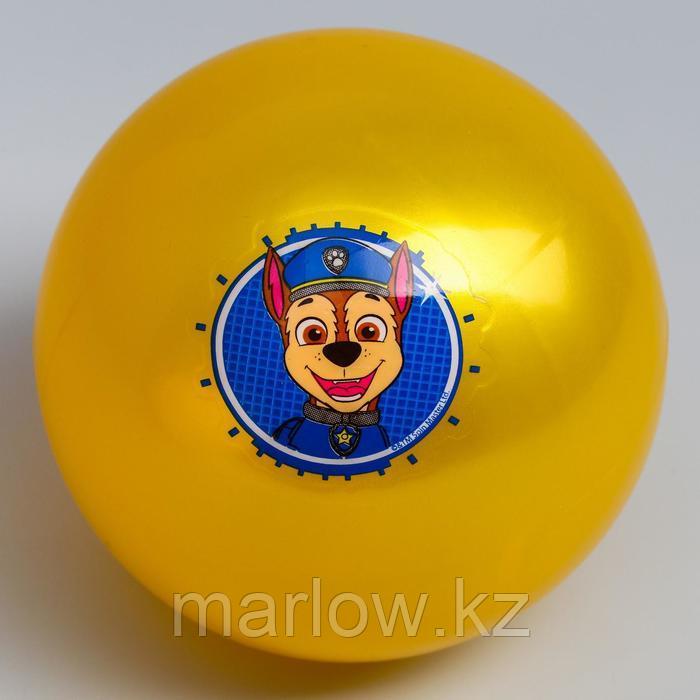 Мяч детский Paw Patrol "Гончик", 16 см, 50 гр, цвета МИКС - фото 3 - id-p111432241