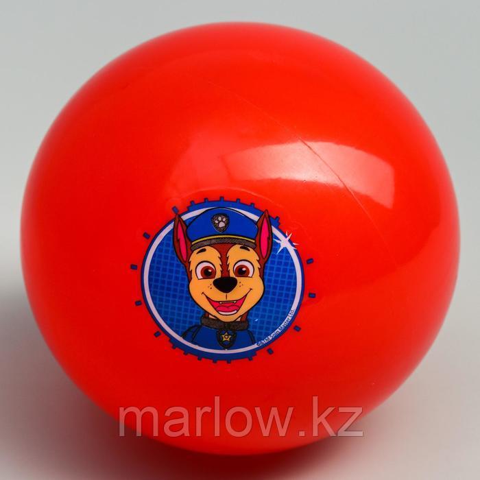 Мяч детский Paw Patrol "Гончик", 16 см, 50 гр, цвета МИКС - фото 4 - id-p111432241