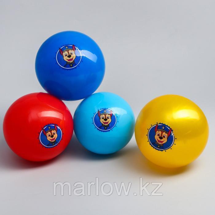 Мяч детский Paw Patrol "Гончик", 16 см, 50 гр, цвета МИКС - фото 5 - id-p111432241