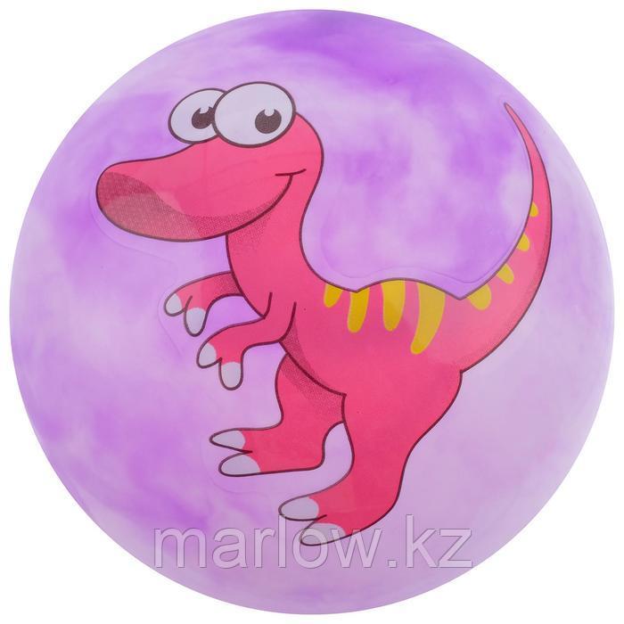 Мяч детский «Динозаврики», d=25 см, 60 г, цвет фиолетовый - фото 9 - id-p111432244
