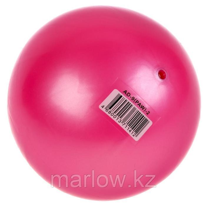Мяч «Щенячий патруль», 23 см, с наклейкой, цвет МИКС - фото 2 - id-p111433102