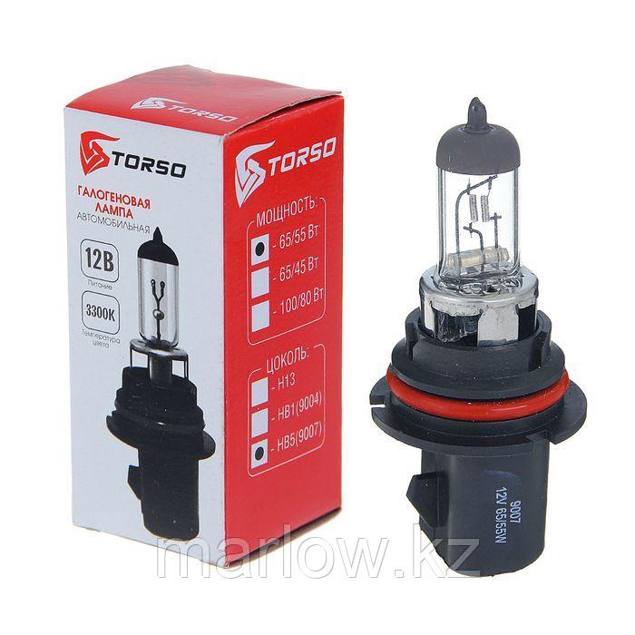 Галогенная лампа TORSO HB5, 3300 K, 12 В, 65/55 Вт - фото 3 - id-p111427362