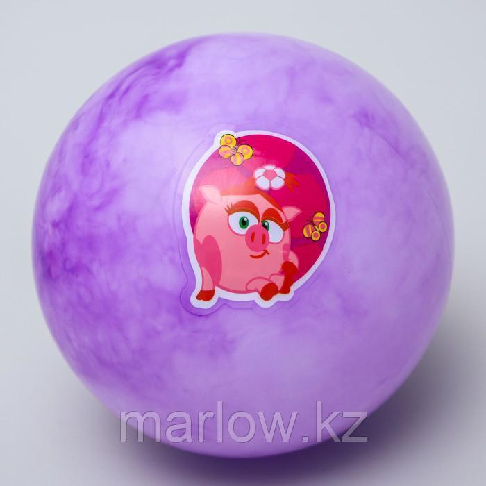 Мяч детский СМЕШАРИКИ "Нюша" 16 см, 50 гр, мрамор, МИКС - фото 2 - id-p111432458