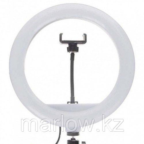 Кольцевая LED лампа JY-300 30 см - фото 1 - id-p111456802