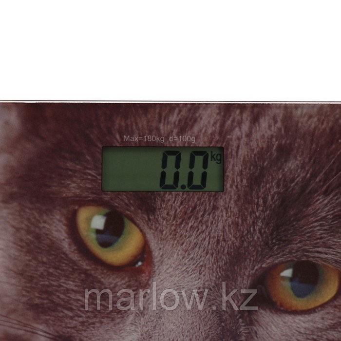 Весы напольные Sakura SA-5065CT, электронные, до 180 кг, 1хCR2032, стекло, картинка "кошка" - фото 3 - id-p111433411