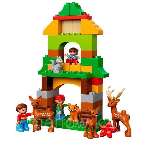 Lego Duplo 10584 Лего Дупло Лесной заповедник - фото 5 - id-p111470716