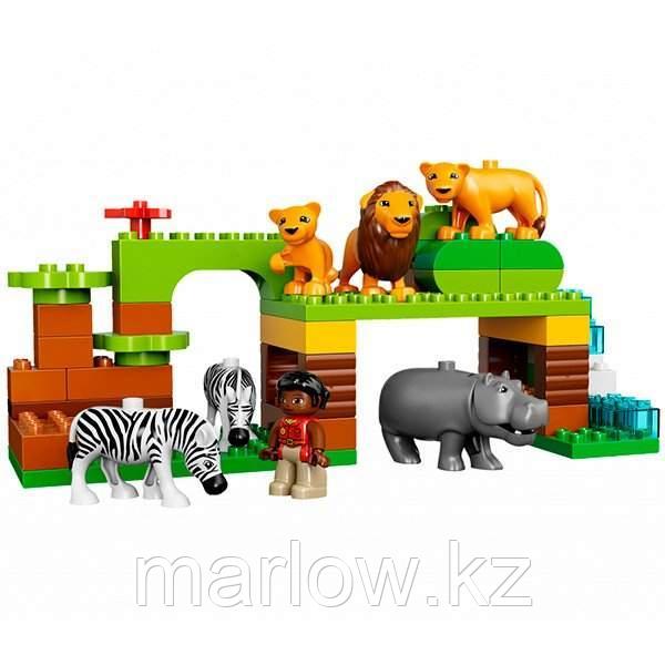 Lego Duplo 10805 Лего Дупло Вокруг света: В мире животных - фото 5 - id-p111470738