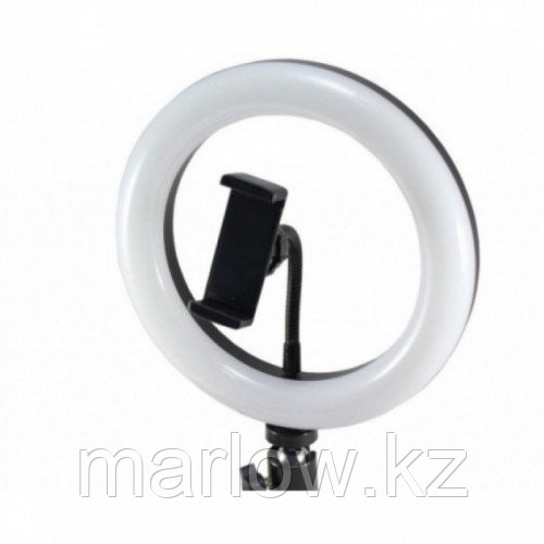 Кольцевая LED лампа USB 30 см для селфи RING LIGHT - фото 1 - id-p111456850