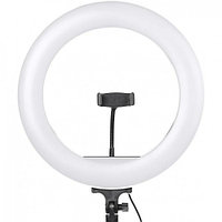 Кольцевая LED лампа 1 (40 см)