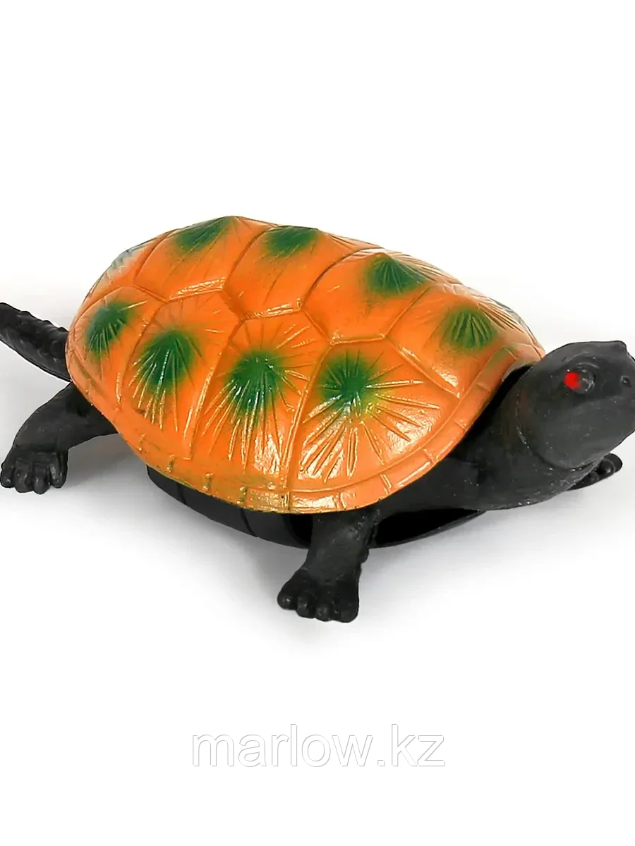 Детская игрушка животного в виде Черепахи W6328-169 "Я играю в зоопарк" - фото 1 - id-p111441089