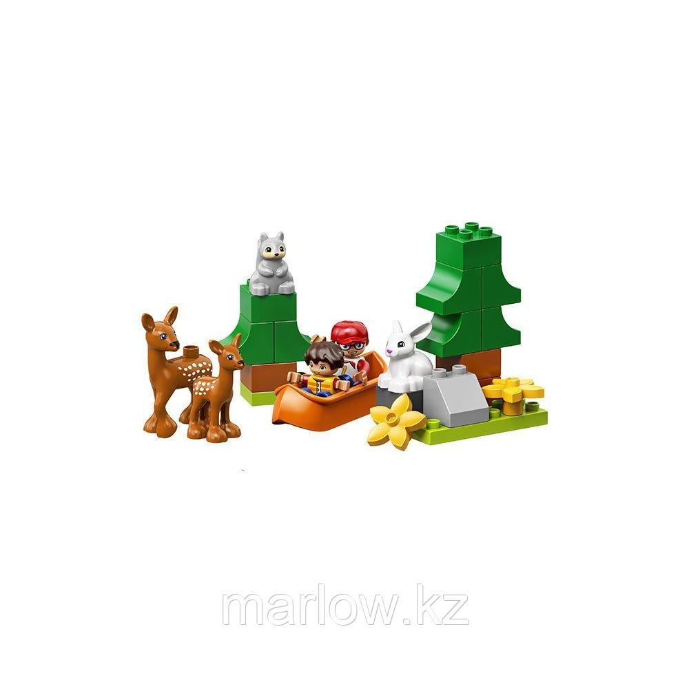 LEGO DUPLO 10907 Конструктор Лего Дупло Животные мира - фото 4 - id-p111470818