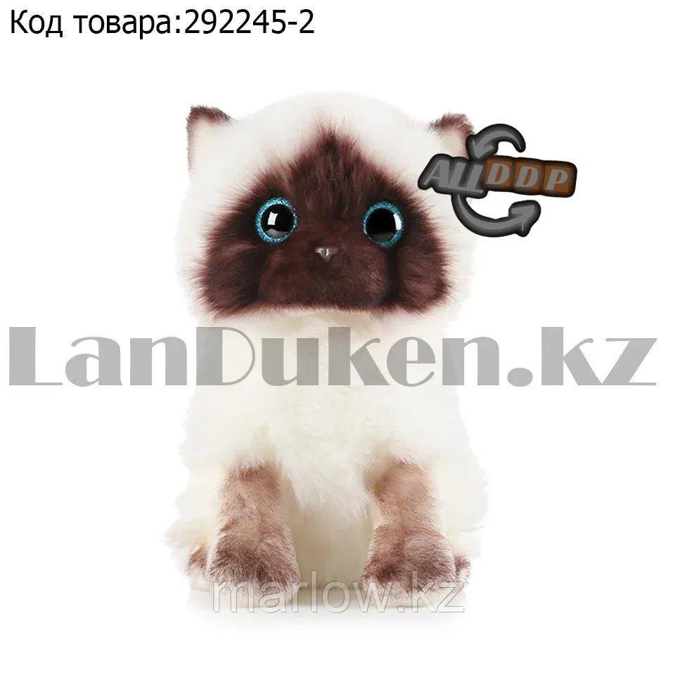 Мягкая игрушка Кошка сиамская с блестящими глазами большая 27 см - фото 1 - id-p111453040