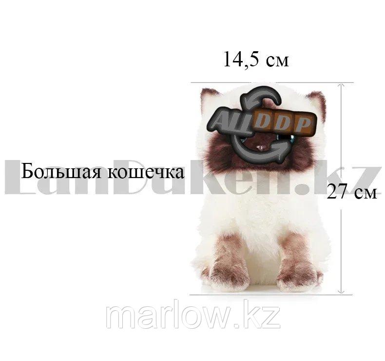 Мягкая игрушка Кошка сиамская с блестящими глазами большая 27 см - фото 2 - id-p111453040