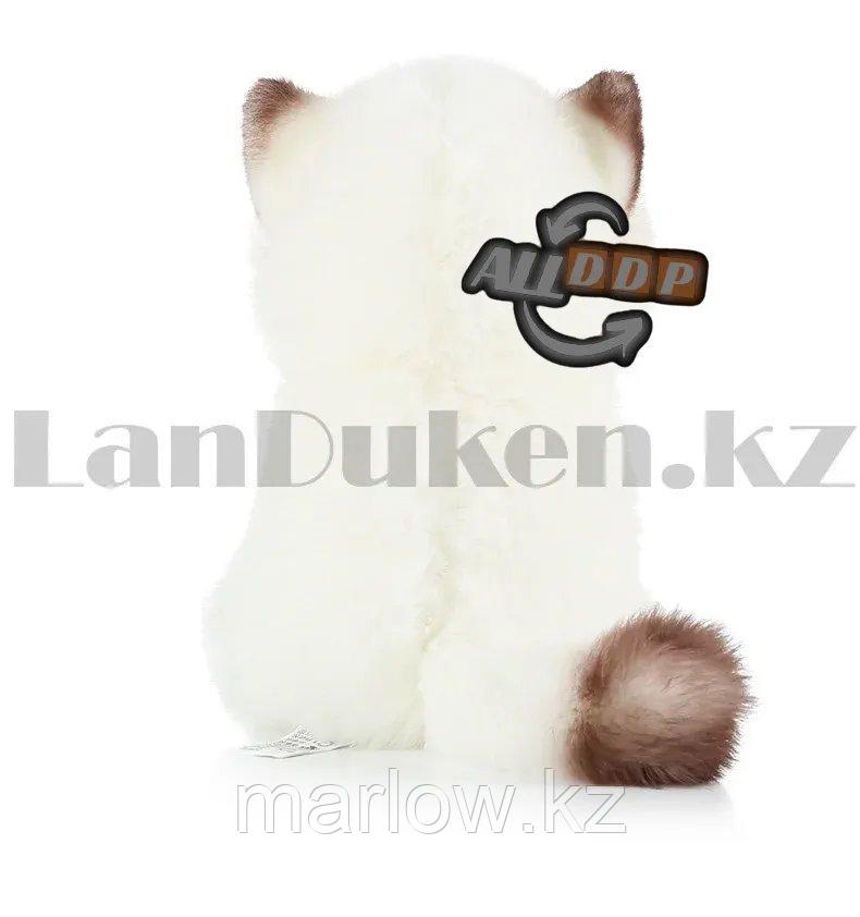 Мягкая игрушка Кошка сиамская с блестящими глазами большая 27 см - фото 4 - id-p111453040