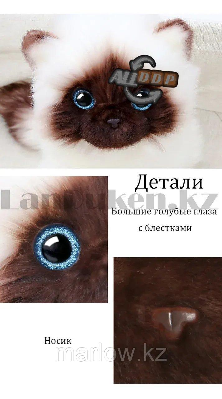 Мягкая игрушка Кошка сиамская с блестящими глазами большая 27 см - фото 6 - id-p111453040