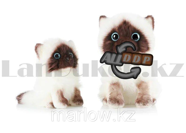 Мягкая игрушка Кошка сиамская с блестящими глазами большая 27 см - фото 8 - id-p111453040