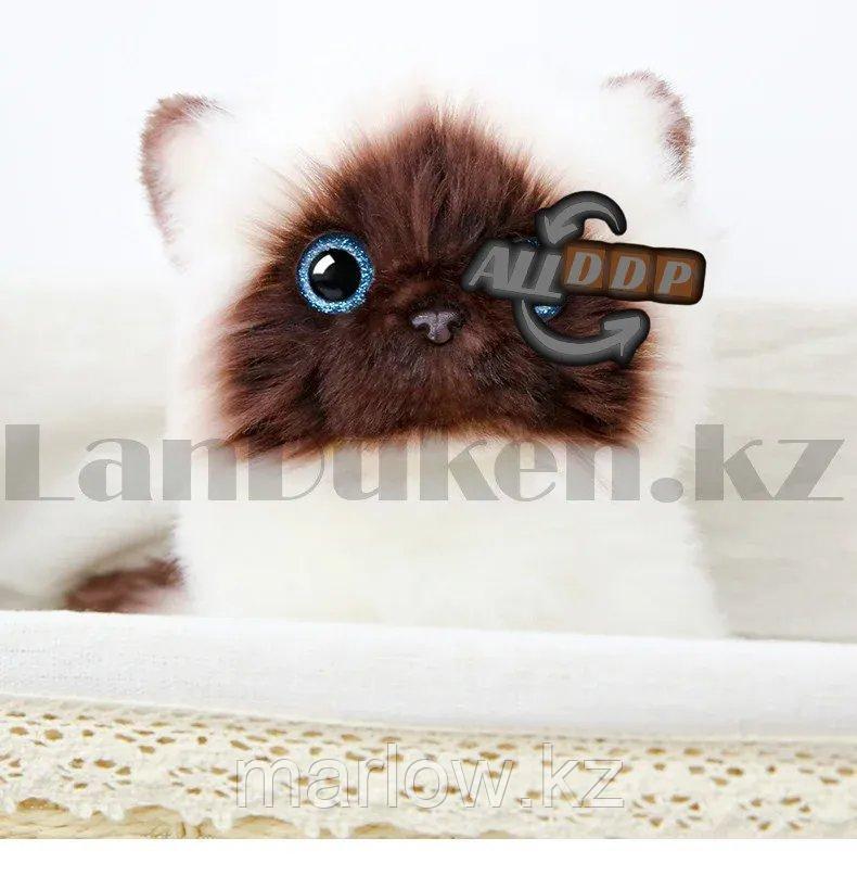 Мягкая игрушка Кошка сиамская с блестящими глазами большая 27 см - фото 9 - id-p111453040