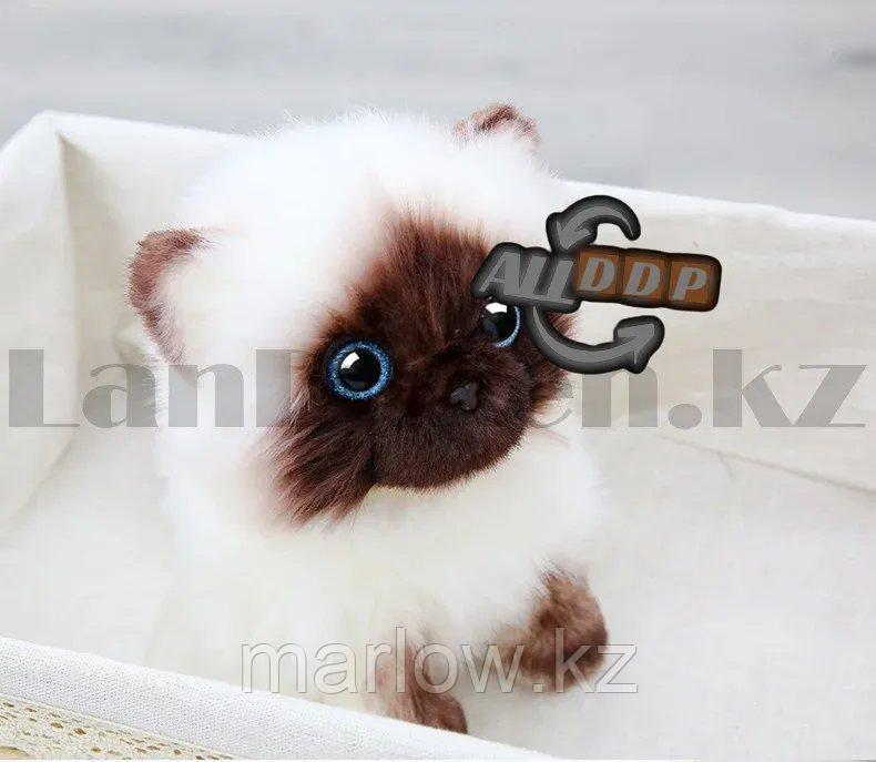 Мягкая игрушка Кошка сиамская с блестящими глазами большая 27 см - фото 10 - id-p111453040