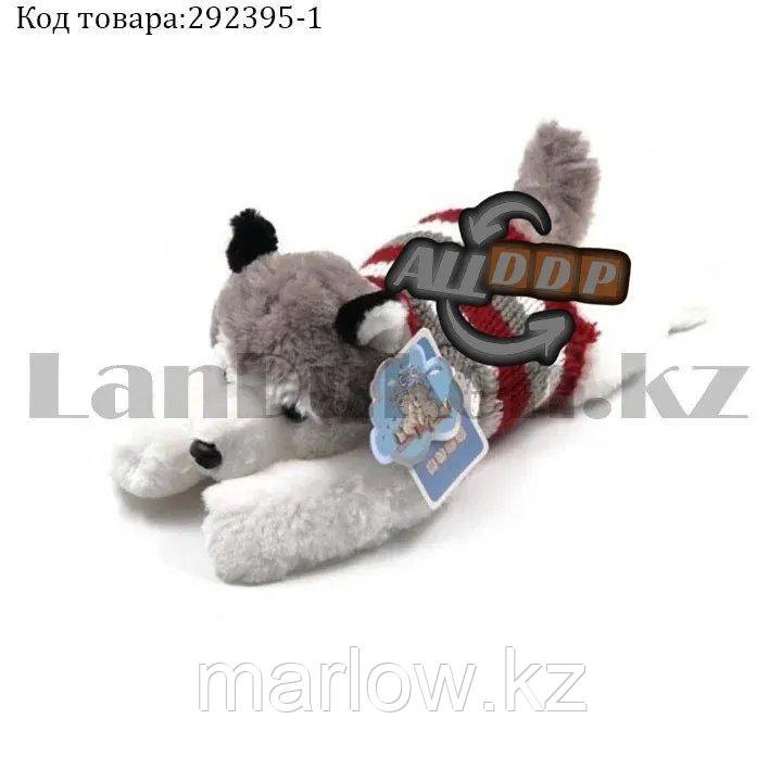 Мягкая игрушка собака Хаски маленькая в свитере 35см серая - фото 1 - id-p111453044