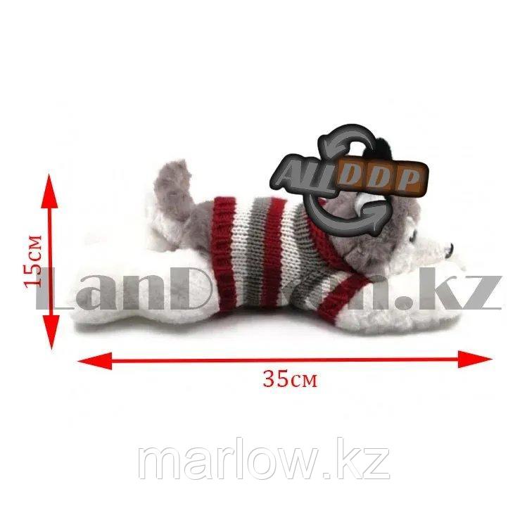 Мягкая игрушка собака Хаски маленькая в свитере 35см серая - фото 2 - id-p111453044