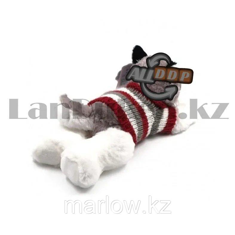 Мягкая игрушка собака Хаски маленькая в свитере 35см серая - фото 5 - id-p111453044
