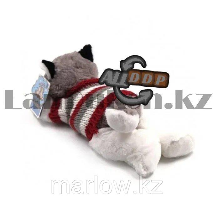 Мягкая игрушка собака Хаски маленькая в свитере 35см серая - фото 6 - id-p111453044