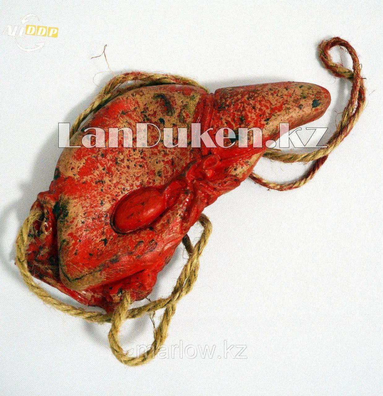 Кровавая печень на веревке - украшение на Хэллоуин (Halloween) - фото 1 - id-p111460007