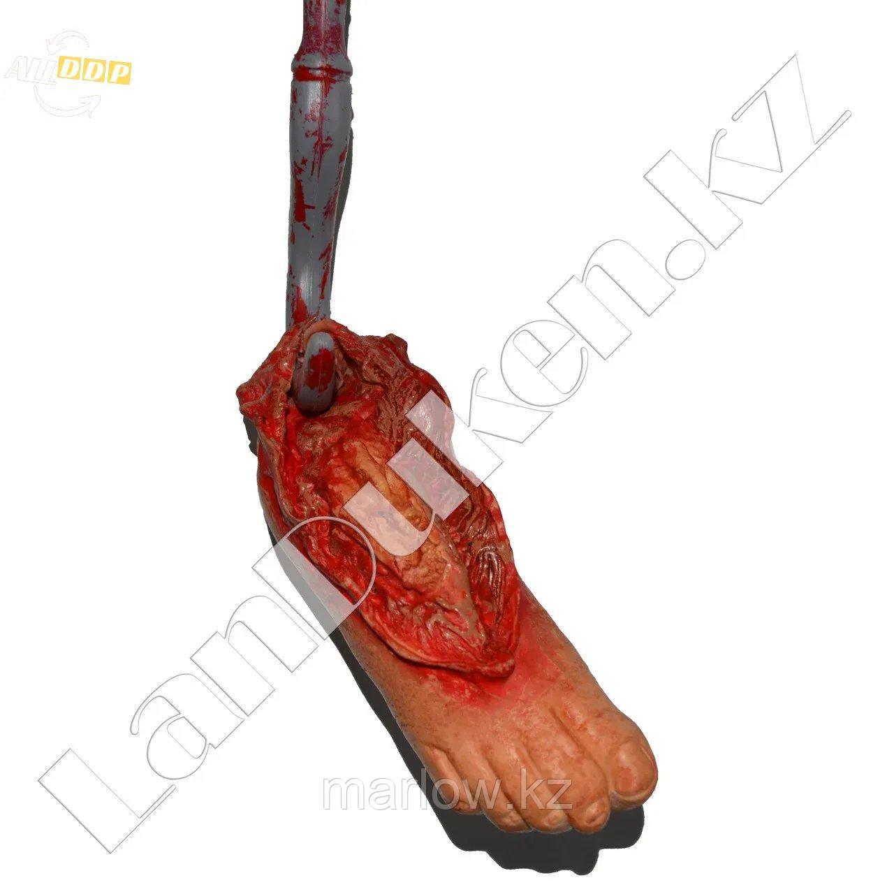 Кровавая нога на крюке для Хэллоуина (Halloween) - фото 2 - id-p111460046