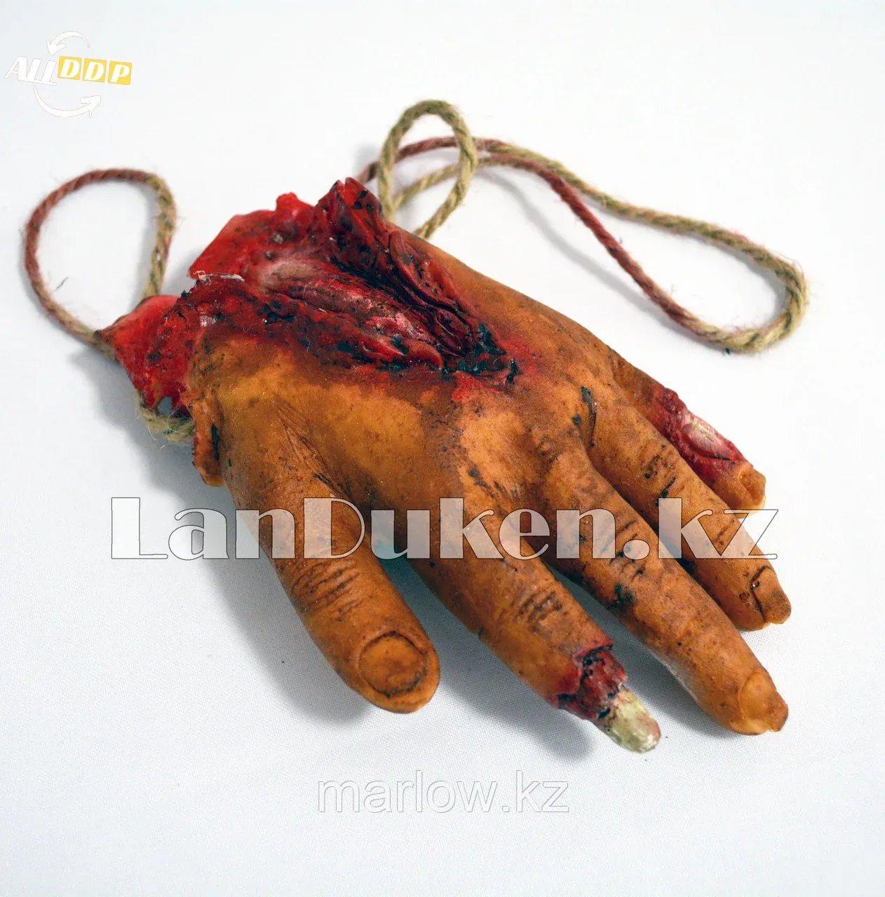 Отрубленная рука на веревке - украшение на Хэллоуин (Halloween) - фото 1 - id-p111460114