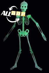 Светящийся (фосфорный) скелет средний для Хэллоуина