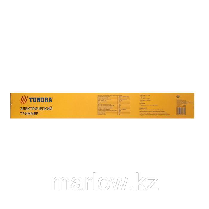 Электротриммер TUNDRA, разборная штанга, катушка полуавтомат и диск, скос 400 мм, 1200 Вт - фото 10 - id-p111465107