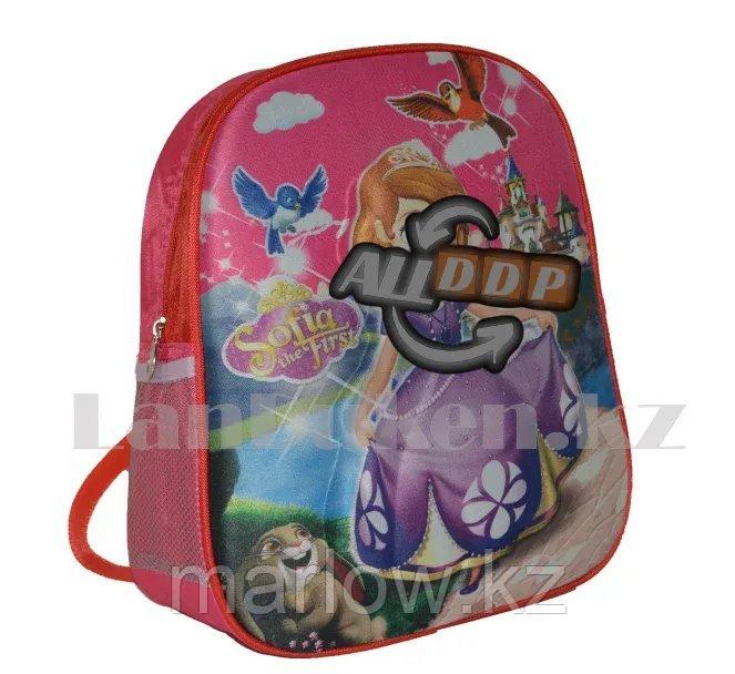 Детский рюкзак для детского сада 3D рисунок Принцесса София розовый - фото 1 - id-p111454220