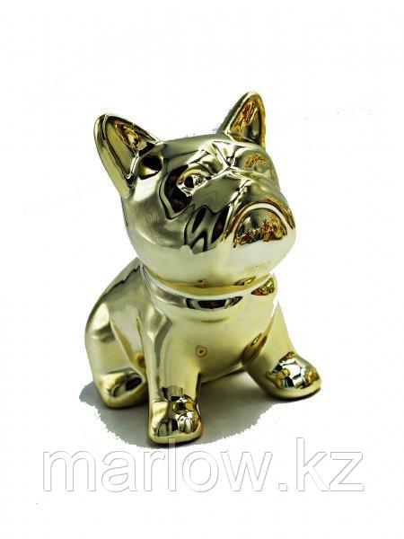 Сувенир Golden Bulldog маленький - фото 1 - id-p111450306