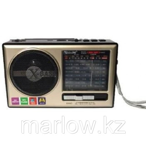 Радиоприемник портативный аналоговый, LED фонарик GOLON RX-377 - фото 1 - id-p111458253