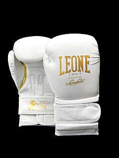 Боксерские перчатки Leone кожа