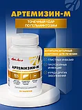 Артемизин-М (Artemizin-M), 90 таб., Арт Лайф, фото 2
