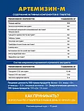 Артемизин-М (Artemizin-M), 90 таб., Арт Лайф, фото 6